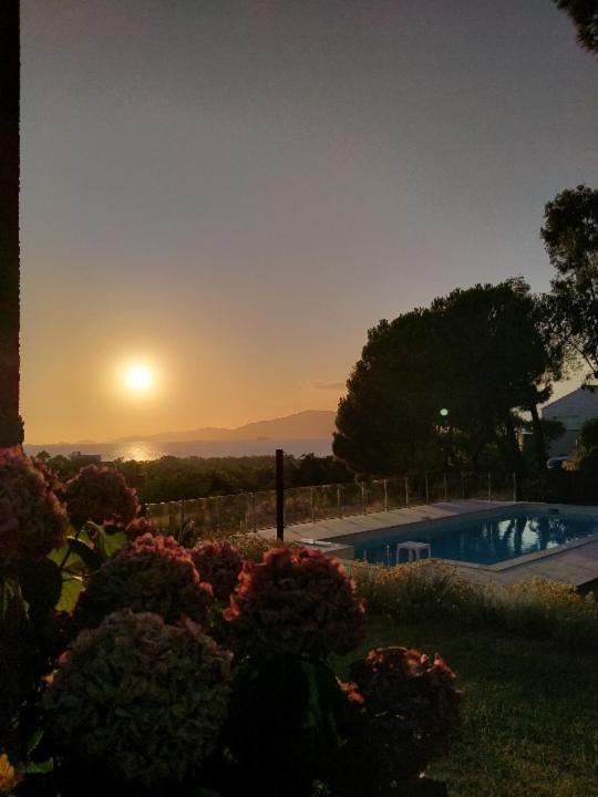 Corsicadream Arone Superbe Appartement Dans Villa, Vue Panoramique Mer, Piscine, Proche Porticcio Pietrosella Εξωτερικό φωτογραφία